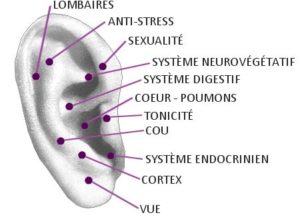 auriculothérapie massage